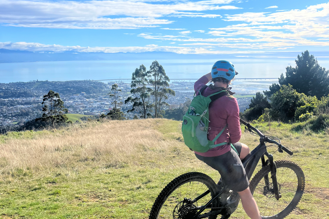 The Best MTB Trails in Nelson, New Zealand