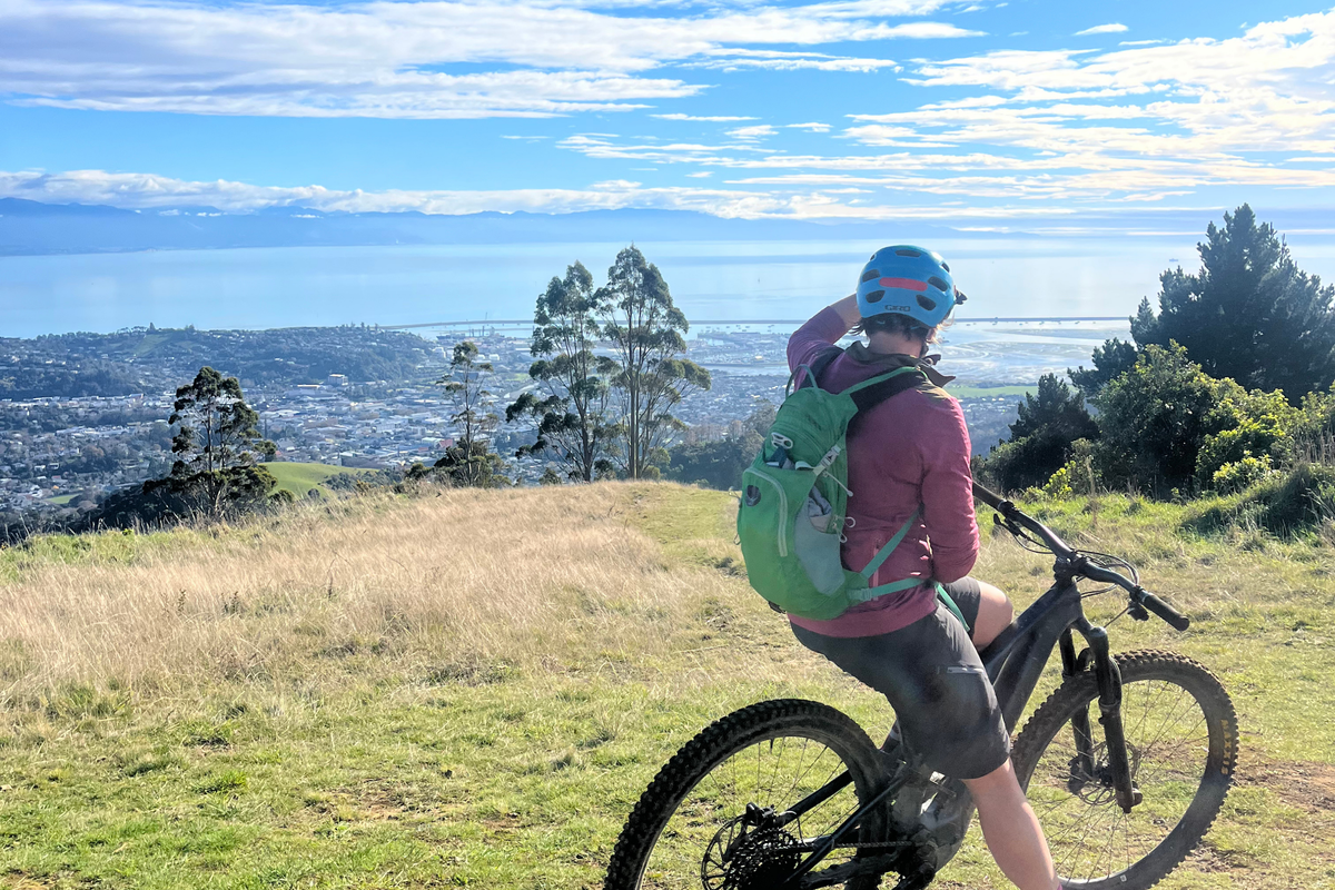 The Best MTB Trails in Nelson, New Zealand