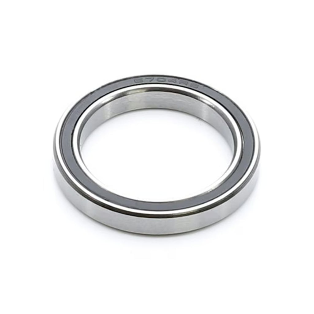 Enduro Radial Bearing 6704 20 x 27 x 4