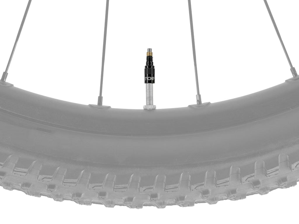 Topeak Turboflow Valve Combo